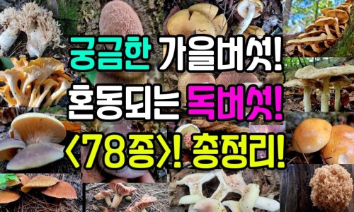高血压引起的肾病有什么症状-高血压引起头昏的症状网 - 为你提供高血压引起头痛头晕症状、高血压引起头疼的症状