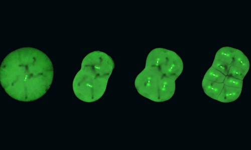 高血压引起头痛头晕症状-高血压引起头昏的症状网 - 为你提供高血压引起头痛头晕症状、高血压引起头疼的症状